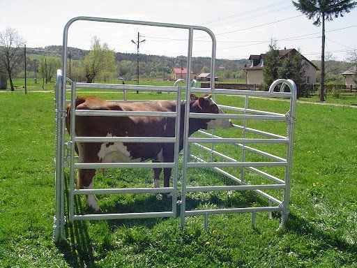 China Cattle Corral panels China Cattle Corral panels