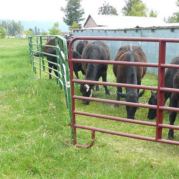 Cattle Fence Panels Cattle Fence Panels
