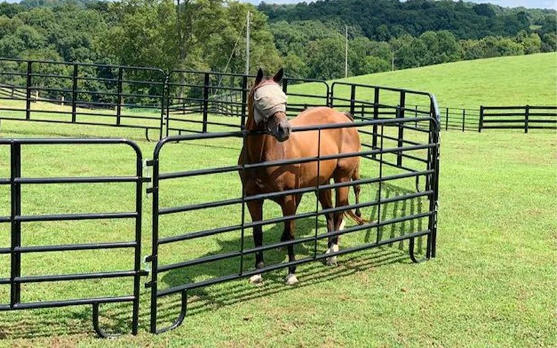 Heavy-Duty Cattle Panels