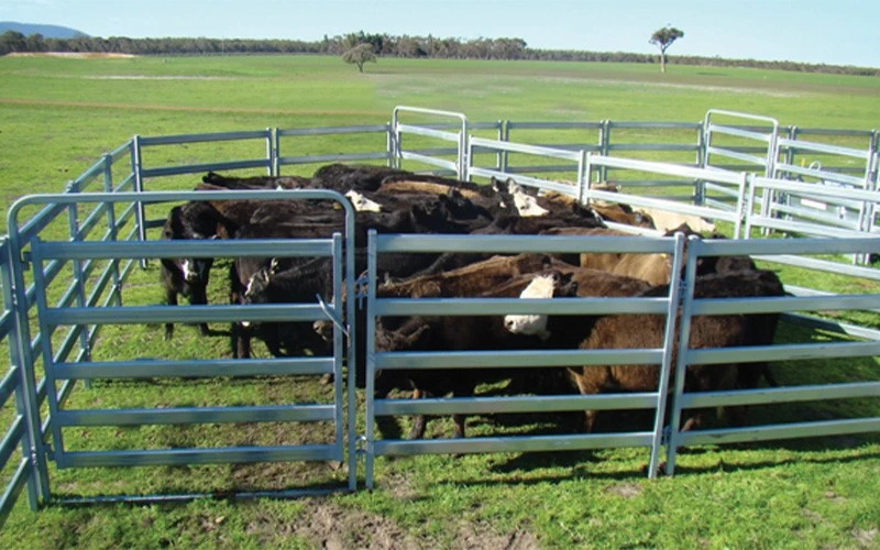 Horse Panels (No-Climb) Horse Panels (No-Climb)