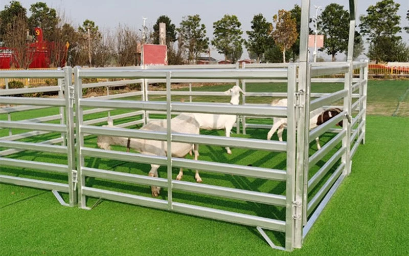 Sheep & Goat Panels
