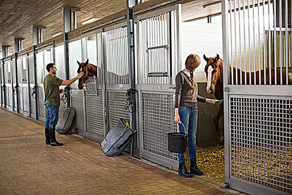 China Portable facility horse stalls China Portable facility horse stalls