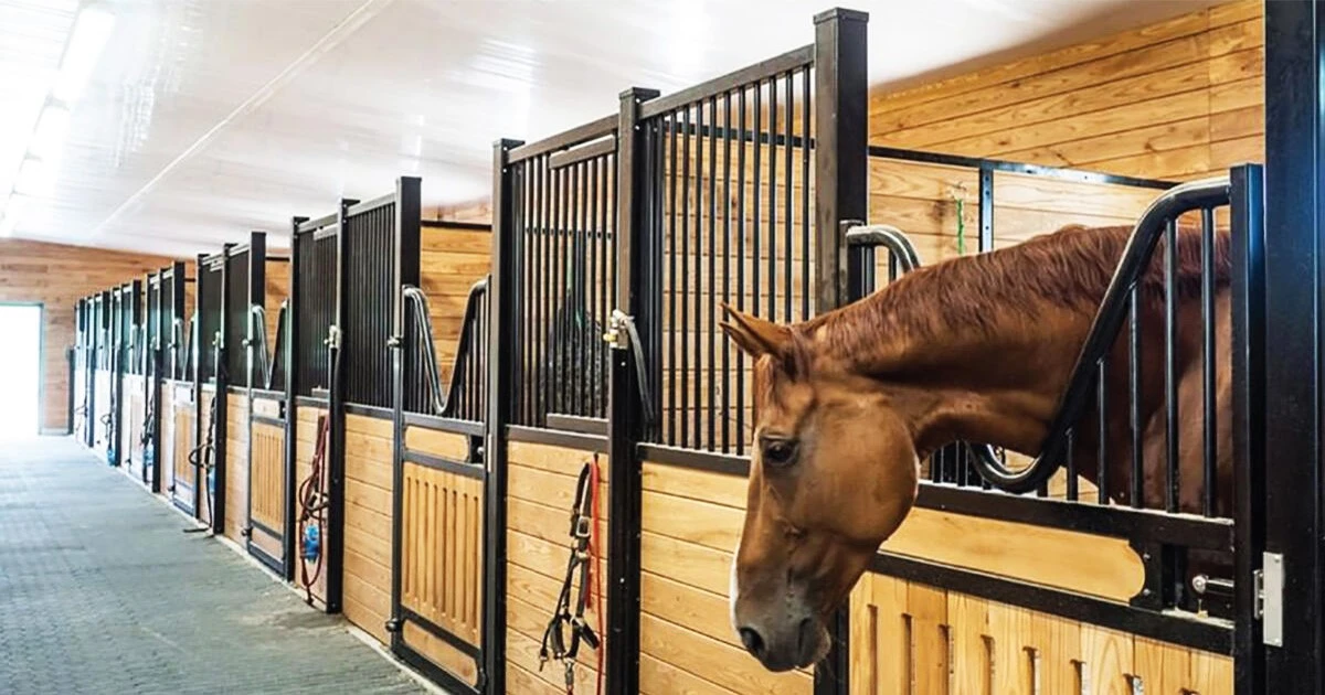 horse stable panels for horse stable panels for